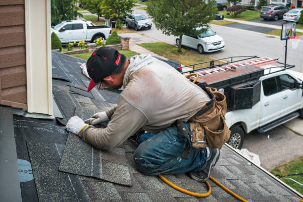Professional Flat Roof Repair technician working in Alberta, VA